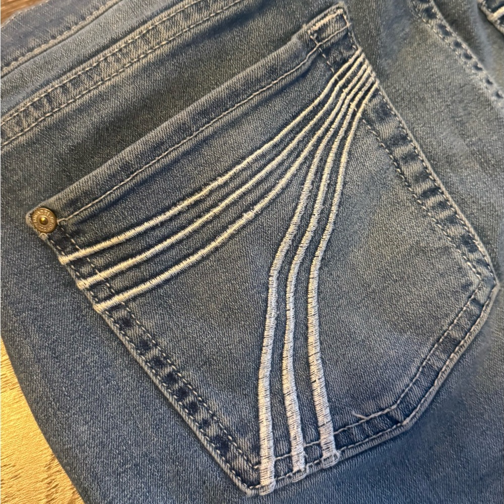 7 For All Mankind Dojo Flare